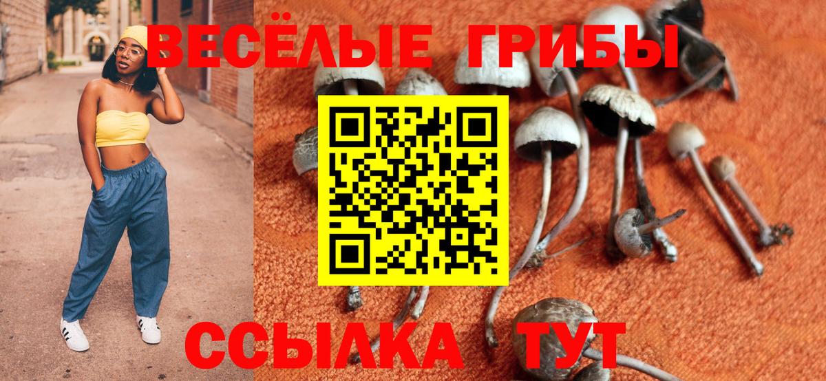 Галлюциногенные грибы мухоморы  Псилоцибиновые грибы Psilocybine cubensis  Вход с VPN  Карабулак 